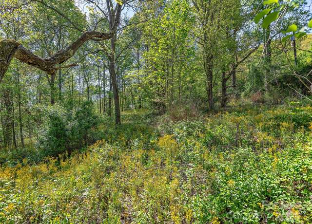 Property at 99999 Bob Barnwell Rd, Asheville, NC 28803