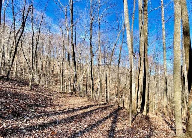 Property at 10.02 Acres TBD Rock Garden Rd, Black Mountain, NC 28711