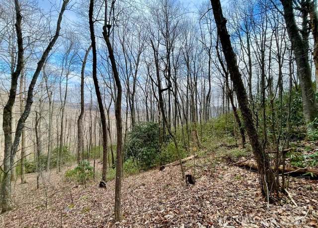 Property at 10.02 Acres TBD Rock Garden Rd, Black Mountain, NC 28711