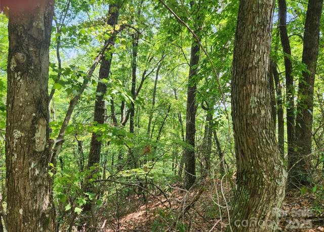 Property at Lot 117, 118, & 132 Summit Ct, Lake Lure, NC 28746