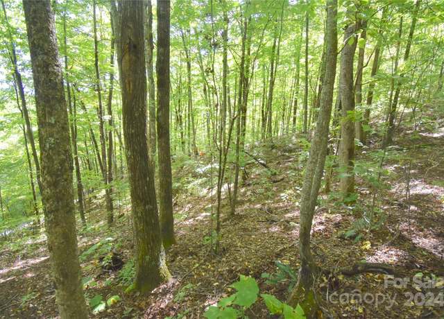 Property at 0 Chimney Ridge Trl #131, Waynesville, NC 28786
