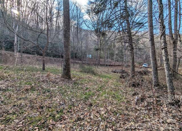 Property at 99999 Christian Creek Rd, Swannanoa, NC 28778