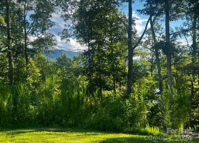 Property at 23 Mountain Pkwy, Mill Spring, NC 28756