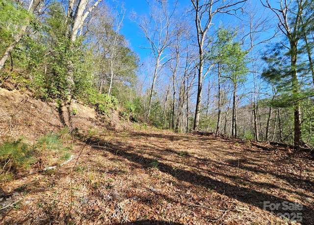 Property at 0 Laurel Branch Rd, Waynesville, NC 28785