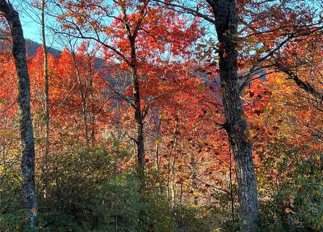 Property at 69 & 81 Winter Moon Rdg, Sylva, NC 28779