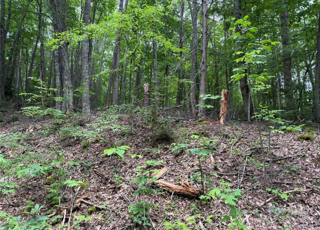 Property at TBD Red Clover Rd, Beech Mountain, NC 28604