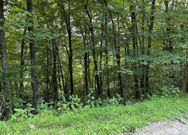 Property at 227 Birch Springs Ln, Mars Hill, NC 28754