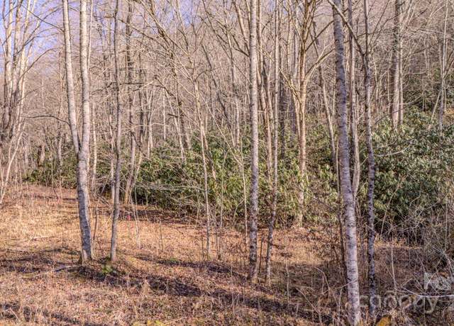 Property at 00 Culvin Creek Rd, Marshall, NC 28753