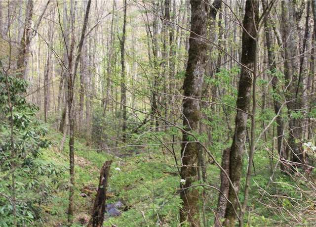 Property at 0000 Big Spring Trl #61, Qualla, NC 28719