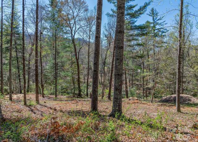 Property at 99999 Running Creek Trl, Arden, NC 28704