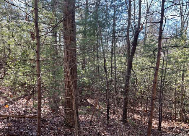 Property at 00 Willow Run Ln #12, Zirconia, NC 28790