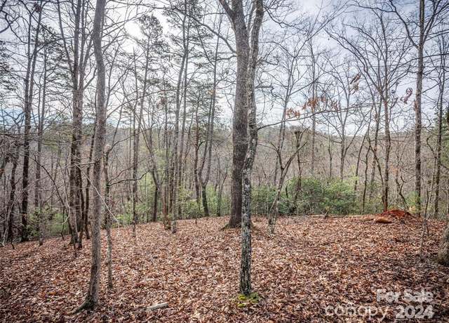 Property at 163 Pheasant St #163, Lake Lure, NC 28746