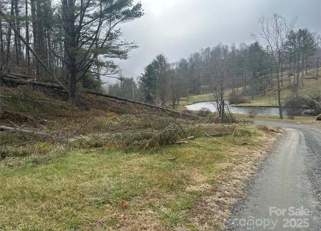 Property at 99999 Big Rock Creek Dr, Bakersville, NC 28705
