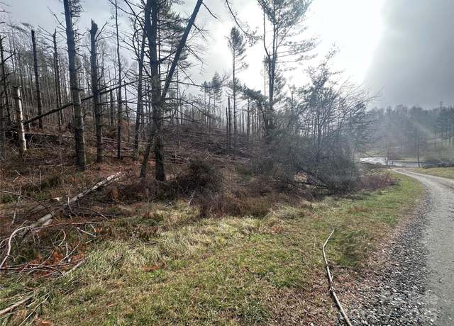 Property at 99999 White Pine Ln, Bakersville, NC 28705