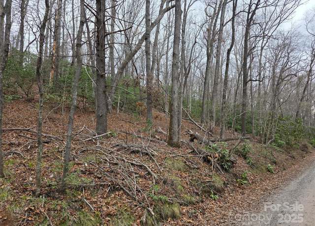 Property at Lot 12 Patton Thicket Rd, Burnsville, NC 28714