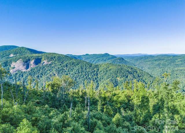 Property at 0000 H And H Trl, Bat Cave, NC 28710