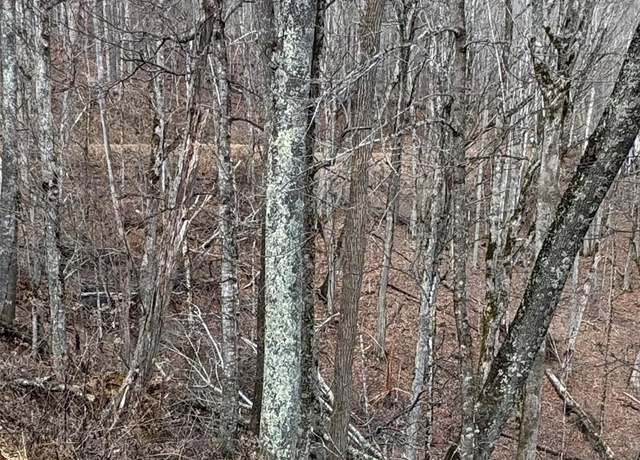 Property at 00 Spring Brook Dr #314, Mars Hill, NC 28754