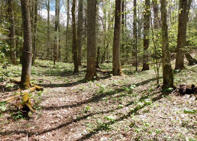 Property at TBD Black Bear Trl, Linville, NC 28646