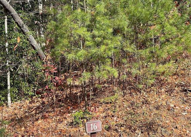 Property at 0000 Juniper Berry Ln, Zirconia, NC 28792