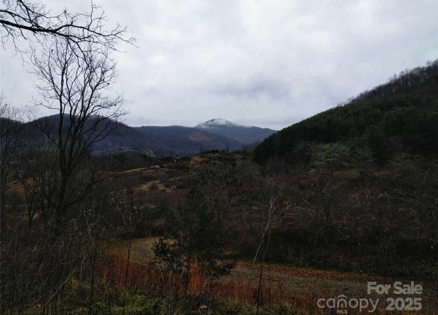 Property at 26 Hawthorne Draw Trl, Canton, NC 28716