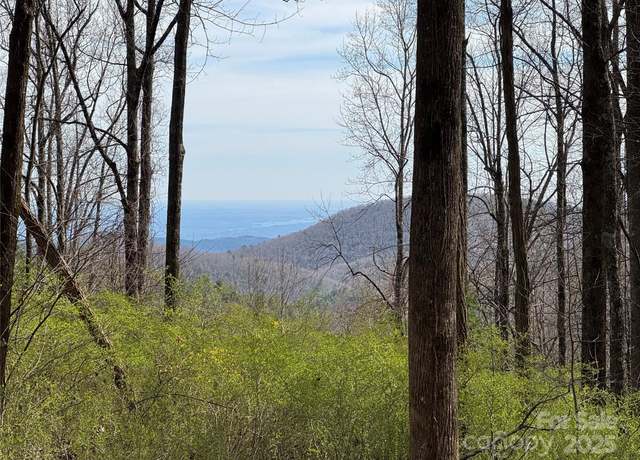Property at L8 Black Bear Ct, Sapphire, NC 28774