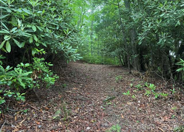 Property at TBD Blueberry Trl #14, Lake Toxaway, NC 28747