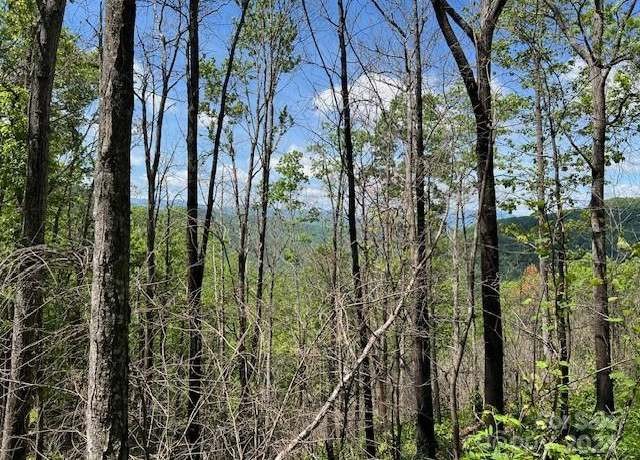 Property at Lot 8 Falls View Dr, Bryson City, NC 28713