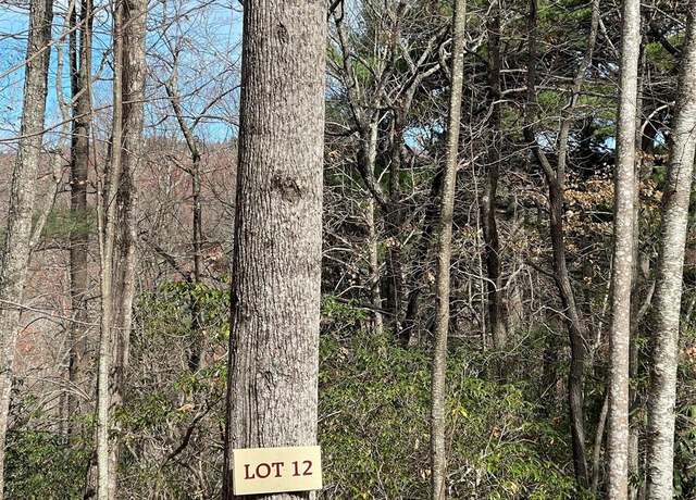 Property at 000 Eagle Ridge Rd, Zirconia, NC 28790