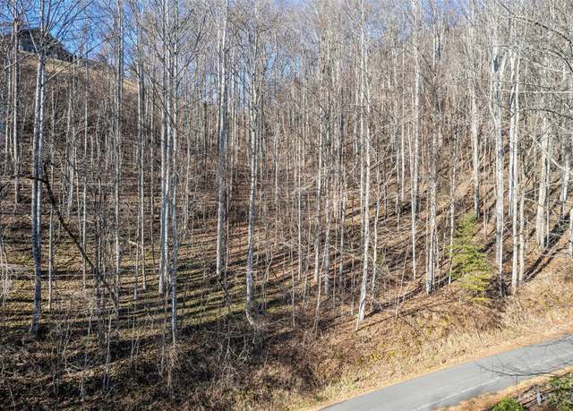 Property at 11 Prosperity Ridge Rd, Waynesville, NC 28785