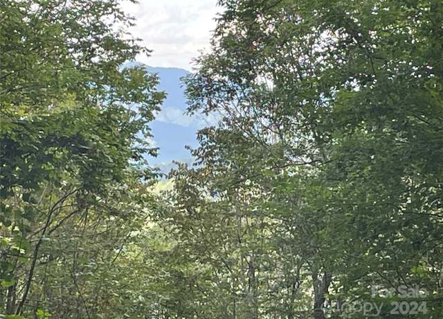 Property at Lt 198 Corkscrew Way #198, Sylva, NC 28779