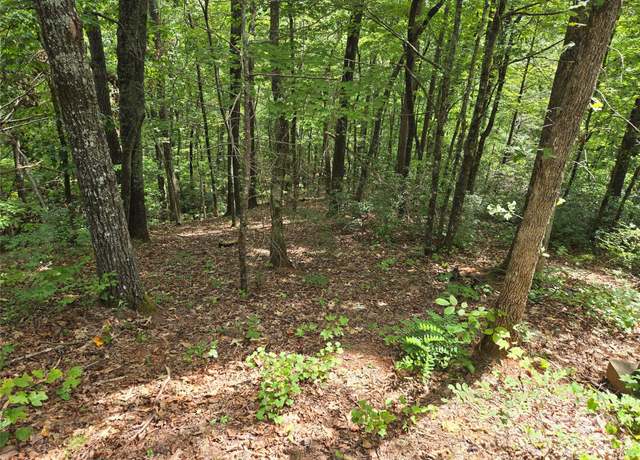Property at Lot 167 & 170 Deerfield Dr, Lake Lure, NC 28746