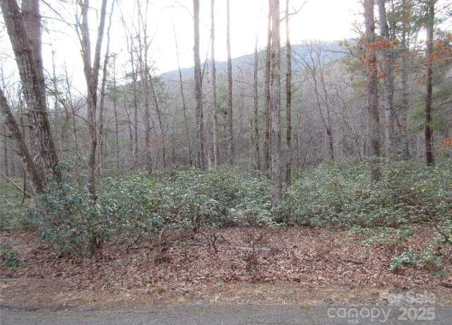 Property at Lot 50 Huntington Rd, Lake Lure, NC 28746