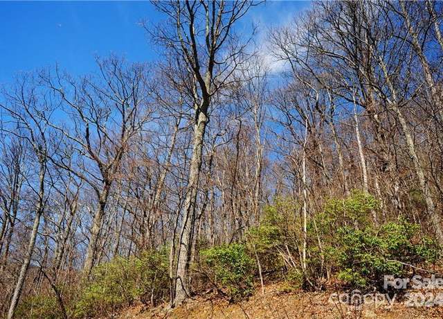 Property at 35 Wedgewood Ter #1104, Black Mountain, NC 28711