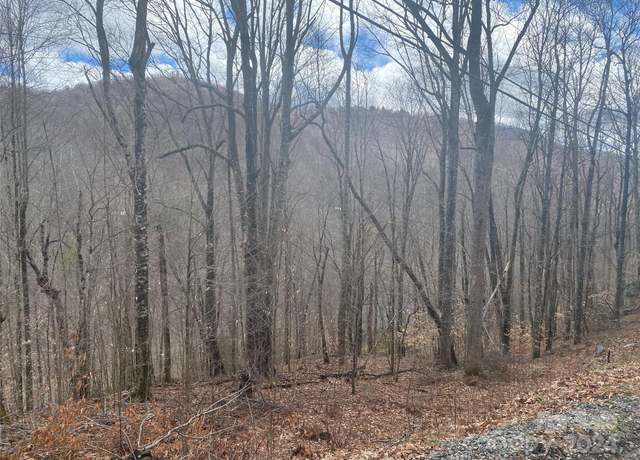 Property at TBD Fox Den Rd, Mars Hill, NC 28754