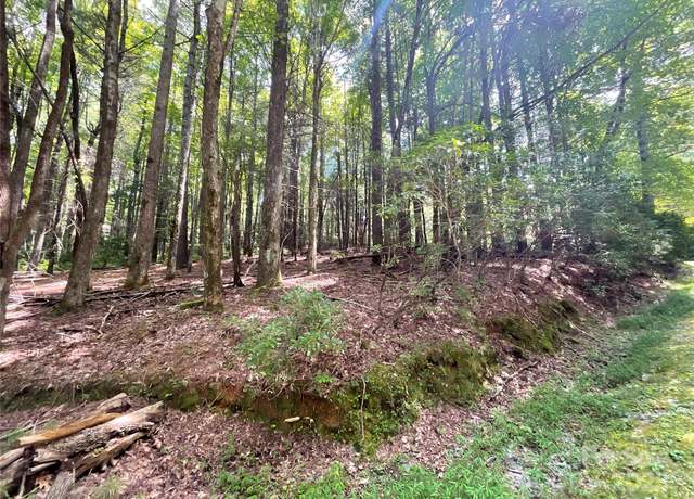Property at 406 Tlvdatsi Dr, Brevard, NC 28712