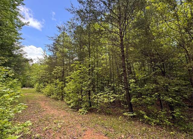Property at 115 Hailees Dr, Marion, NC 28752