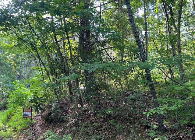 Property at 99999 High Top Mountain Rd, Leicester, NC 28748