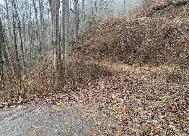 Property at Tr 17B Forest Run Rd, Whittier, NC 28789