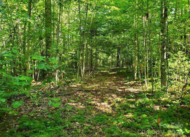Property at 00 Staton Ridge Rd, Saluda, NC 28773