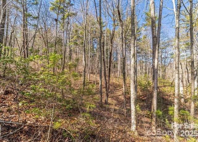 Property at 99999 Parker Rd #2, Asheville, NC 28805