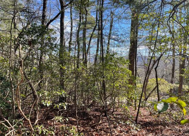Property at 00 Willow Run Ln #16, Zirconia, NC 28790