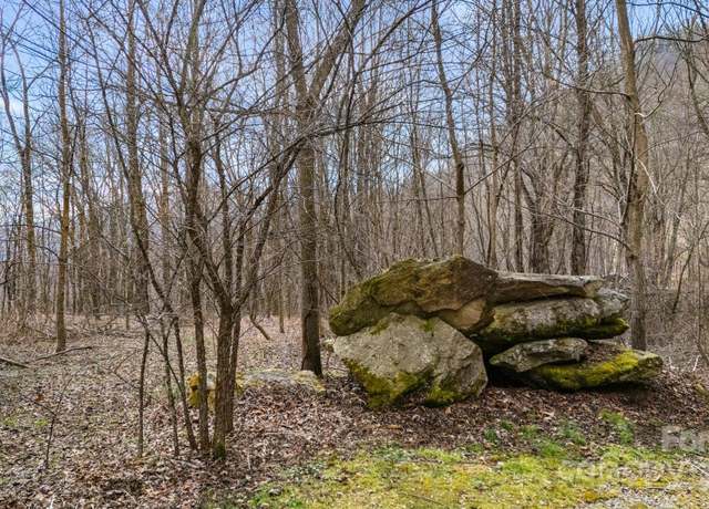 Property at TBD Spotted Fawn Ln #79, Waynesville, NC 28785