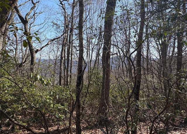 Property at TBD Leatherwood Rd Unit 24B, Maggie Valley, NC 28751