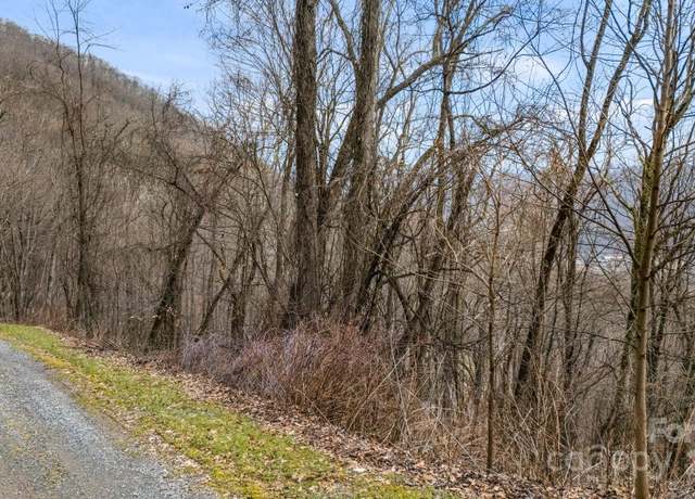Property at TBD Live Oak Loop Unit 96/98/100, Waynesville, NC 28785