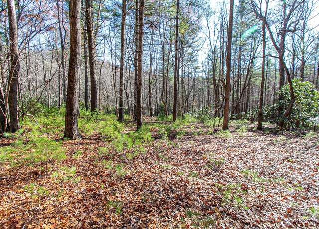 Property at TBD Cherrywood Ln Unit B, Pisgah Forest, NC 28768