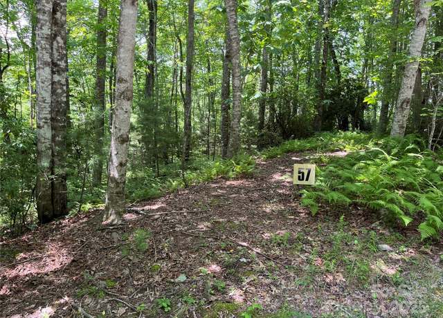 Property at 57 Big Branch Rd, Brevard, NC 28712