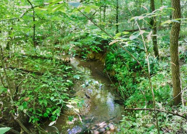 Property at 0 Woodstock Ln #166, Rutherfordton, NC 28139
