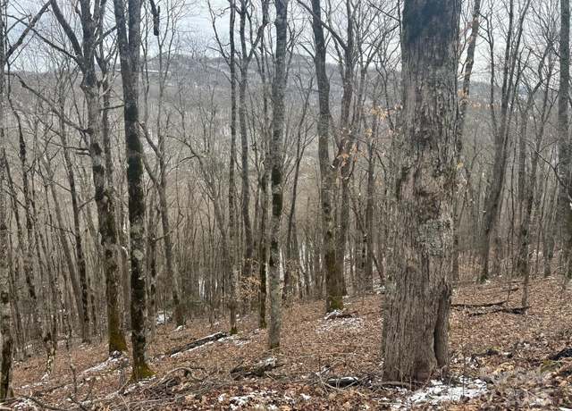 Property at 234 + 235 Hanging Rock Rd, Mars Hill, NC 28754