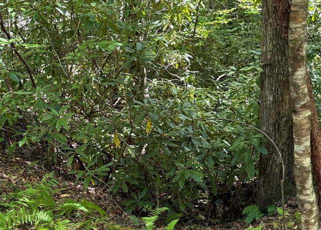 Property at Lot 4 Rosewood Ln, Burnsville, NC 28714