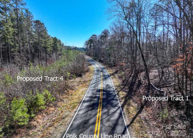 Property at 1, 2 & 3 Polk County Line Rd, Mill Spring, NC 28756